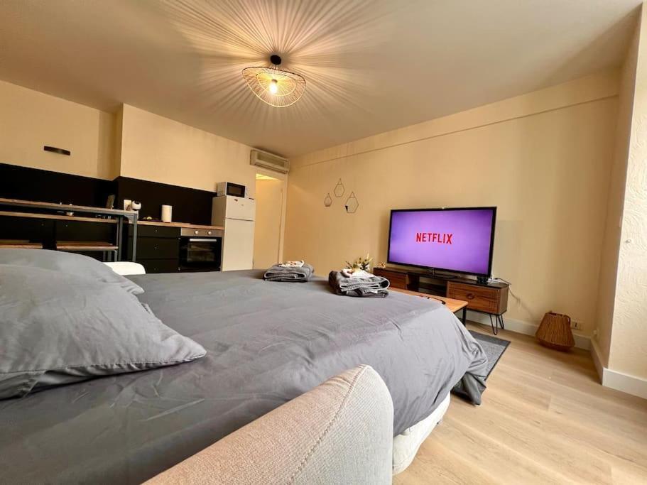 Appartement Climatise 4Prsn Au Pied De La Citadelle Безансон Экстерьер фото